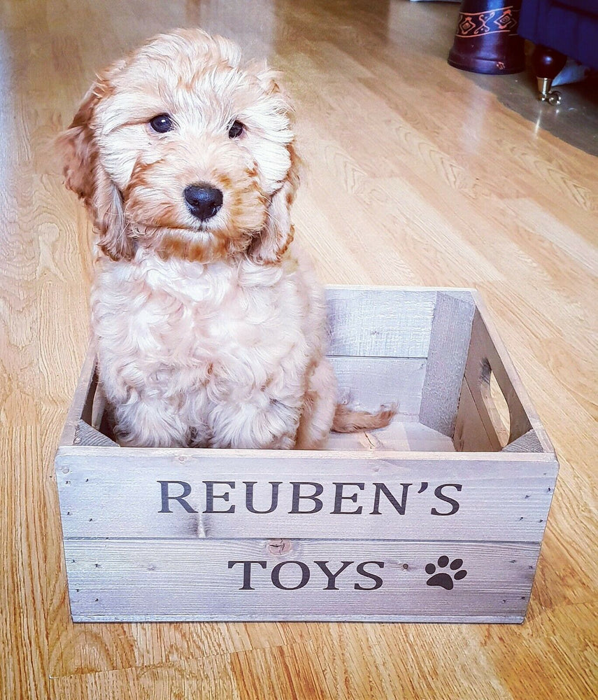PERSONALISED PET TOY CRATE