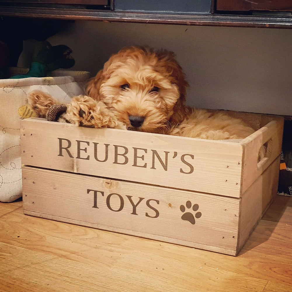 PERSONALISED PET TOY CRATE – Apple Crates - Main Image